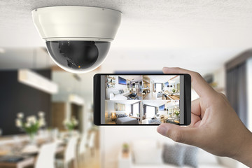Internet-CCTV-Access-Camera-Noida